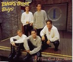 Backstreet Boys - I'll never break your heart cover
