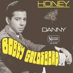 Bobby Goldsboro - Honey (english) cover