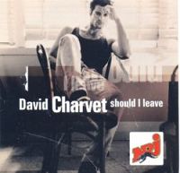 David Charvet - Should I leave cover
