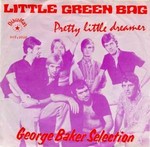 George Baker Selection - Little green bag cover