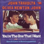 John Travolta & Olivia Newton-John - The one that I want cover