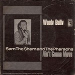 Sam the Sham & the Pharaohs - Wooly Bully cover