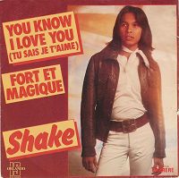 Shake - You know I love you (Tu sais je t'aime) cover