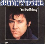 Shakin' Stevens - You drive me crazy cover