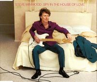 Steve Winwood - Spy in the House of Love cover