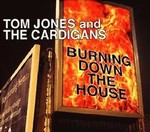 Tom Jones & The Cardigans - Burning Down The House cover