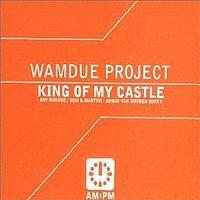 Wamdue Project - King Of My Castle cover
