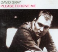 David Gray - Please Forgive Me cover