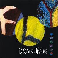 Dixie Chicks - Some Days You Gotta Dance cover