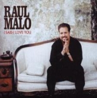 Raul Malo - I Said I Love You cover