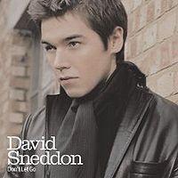 David Sneddon - Don't Let Go cover