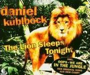 Daniel Kblbck (Kueblboeck) - The Lion Sleeps Tonight cover