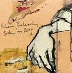 Pete Doherty - Broken Love Song cover