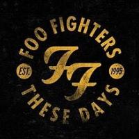 Foo Fighters - These Days cover