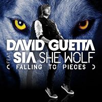 David Guetta feat. Sia - She Wolf (Falling to Pieces) cover