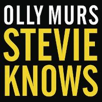 Olly Murs - Stevie Knows cover