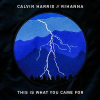 Calvin Harris ft. Rihanna - This Is What You Came For cover