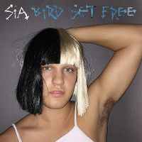 Sia - Bird Set Free cover
