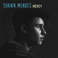 Shawn Mendes - Mercy cover