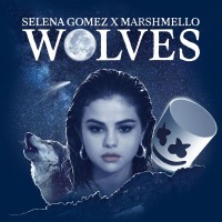 Selena Gomez x Marshmello - Wolves cover