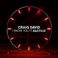 Craig David ft. Bastille - I Know You cover