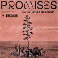 Calvin Harris & Sam Smith - Promises cover