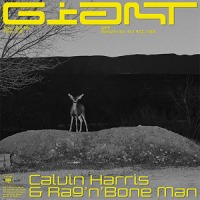 Calvin Harris & Rag'n'Bone Man - Giant cover