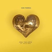 Sam Padrul ft. Chuck New - Feel the Love cover