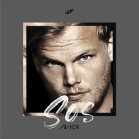 Avicii ft. Aloe Blacc - SOS cover
