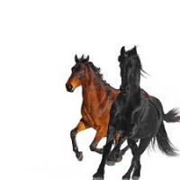 Lil Nas X ft. Billy Ray Cyrus - Old Town Road remix cover