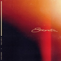 Shawn Mendes ft. Camila Cabello - Senorita cover