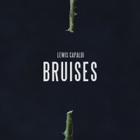 Lewis Capaldi - Bruises cover