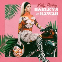 Katy Perry - Harleys in Hawaii cover