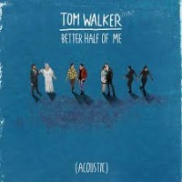 Tom Walker - Better Half of Me cover