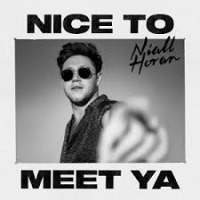 Niall Horan - Nice to Meet Ya cover