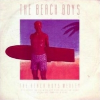 The Beach Boys - Beach Boys Medley cover