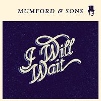 Mumford & Sons - I Will Wait cover