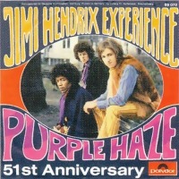 The Jimi Hendrix Experience - Purple Haze cover