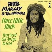 Bob Marley - Three Little Birds cover