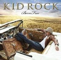 Kid Rock feat. Mary J Blige & T.I. - Care cover