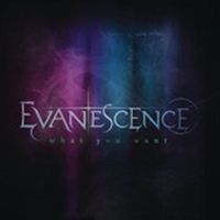 Evanescence - What You Want cover