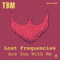 Lost Frequencies - Are You With Me? cover