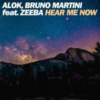 Alok & Bruno Martini ft Zeeba - Hear me now cover