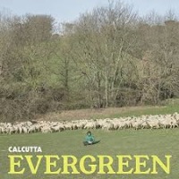 Calcutta - Paracetamolo cover
