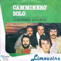 Limousine - Camminero solo cover