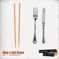 Elisa ft. Carl Brave - Vivere tutte le vite cover
