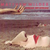 Matthew Wilder - Break My Stride cover