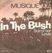 Musique - In The Bush cover