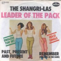 The Shangri-Las - Leader Of The Pack cover