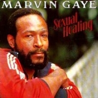 Marvin Gaye - Sexual Healing cover